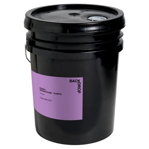 BACKDROP | BARBIE™ DREAMHOUSE™ PURPLE – True Purple | 5 Gallons